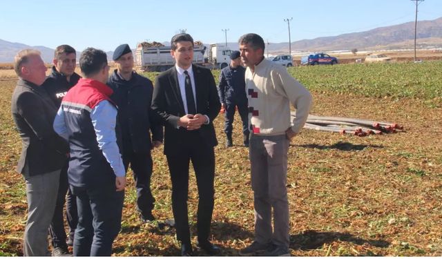 Burdur Tefenni ovası’nda pancar hasadı bereketi