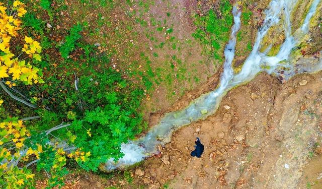 Sındırgı’da deprem mucizesi: 20 yıldır kuruyan su kaynağı yeniden hayat buldu