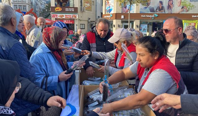 Ordu'da 2 bin adet fidan toprakla buluştu