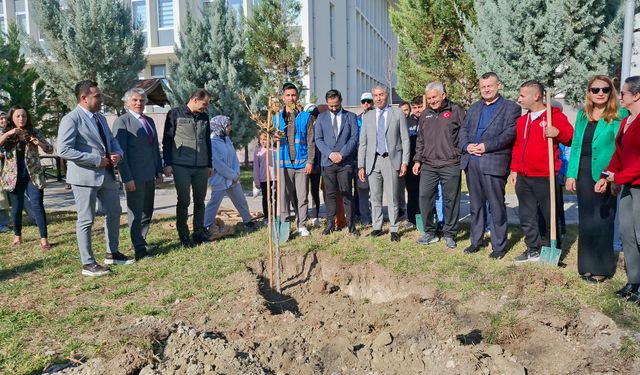 Beypazarı, Güdül ve Ayaş İlçelerinde eş zamanlı dikimi