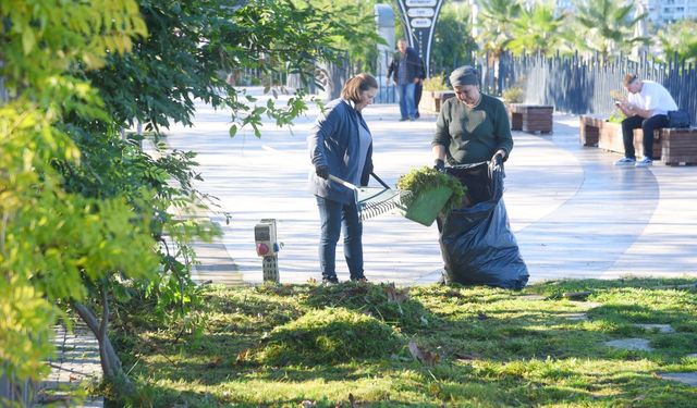 Giresun Belediyesi sonbahar temizliği yapıyor