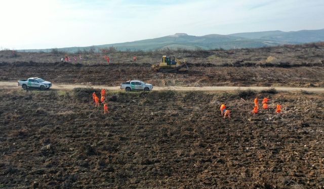 “Alev savaşçıları” bu kez yangın alanları yeniden yeşillendiriliyor