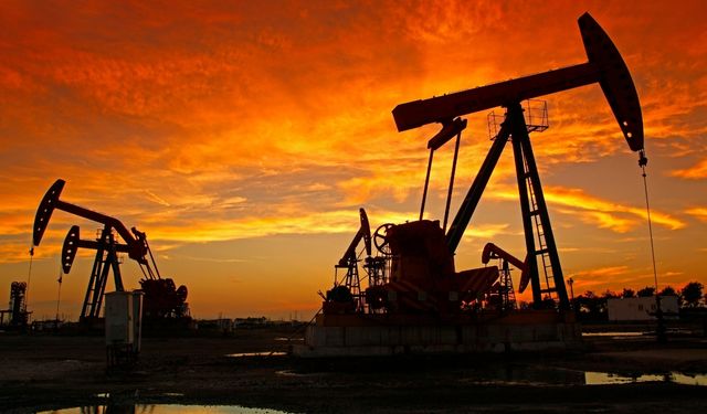 Brent petrolün varili 64,56 dolara geriledi