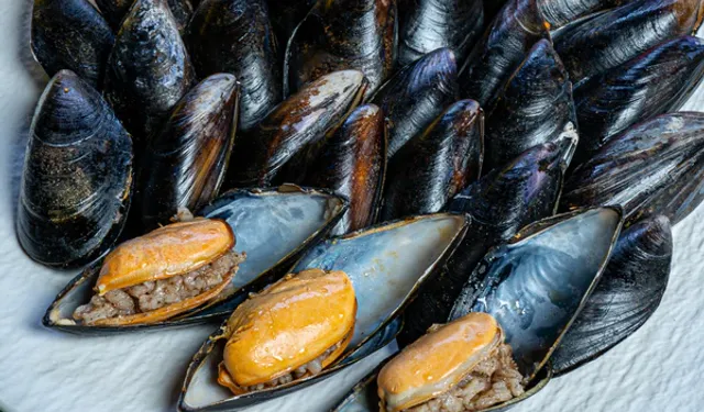 İstanbul’da midye şüphesi: Can kaybı 3’e yükseldi, 4 gözaltı