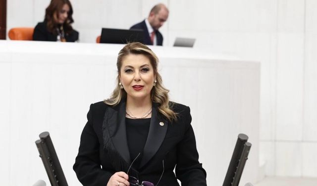 CHP Giresun Milletvekili Elvan Işık Gezmiş sordu; Dal-çık ne oldu?