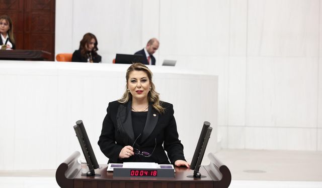 Elvan Işık Gezmiş Giresun'un ulaşım sorunlarını sordu