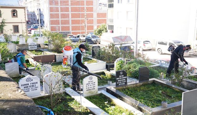 Giresun Belediyesi Mezarlıklar Müdürlüğü tarafından genel temizlik yapıldı