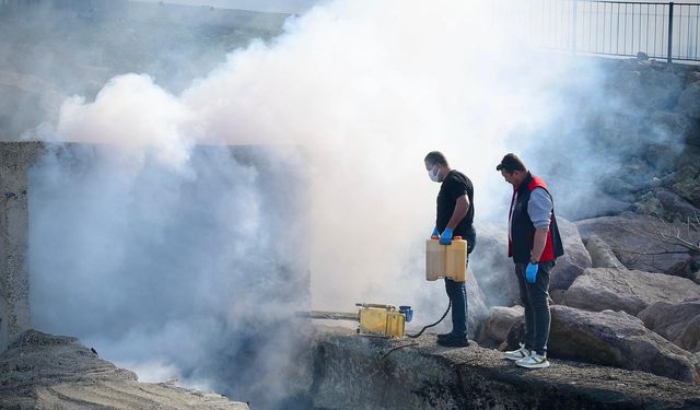 Giresun Belediyesi sahil bölgesi menfezlerini ilaçladı