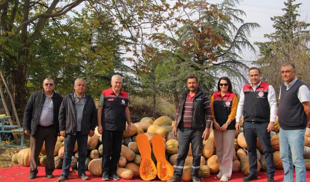 Isparta’da bal kapağı sezonu bereketli başladı