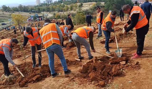 “Her Yalvaçlı için bir fidan” projesinde ilk fidan toprakla buluştu