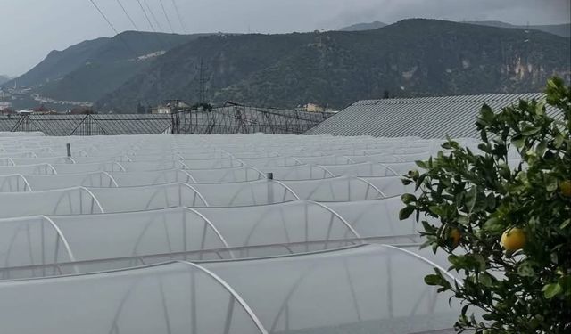 Antalya Demre’de hortum seraları vurdu