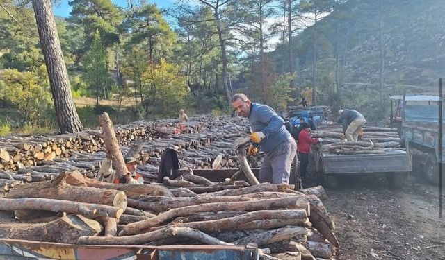 Sarıbelen’de yakacak odun dağıtımı tamamlandı