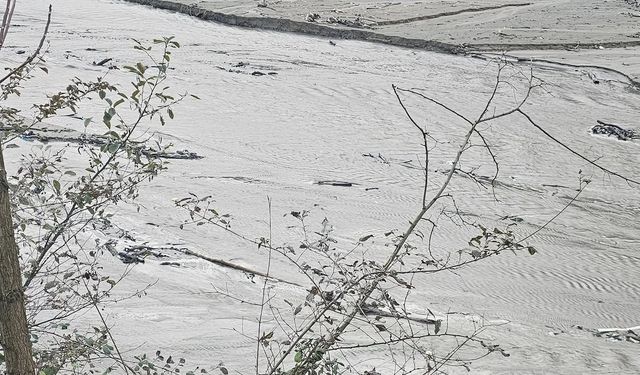 Harşit Çayı'nda tehlike çanları çalıyor