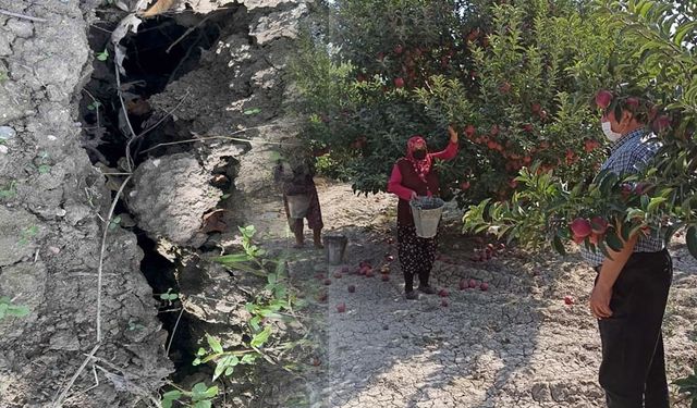 Eğirdir’de elma bahçesinde obruk oluştu