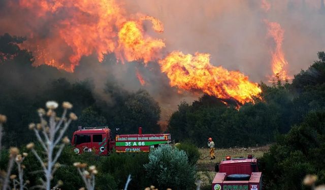 Minibüsten ormana sıçrayan yangın davası: 4 sanığa 7 yıla kadar hapis istemi