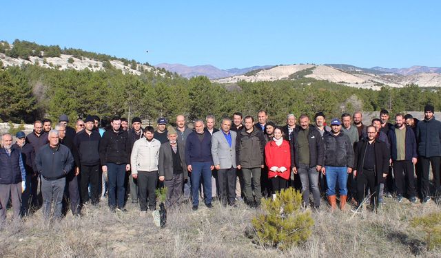Beypazarı’nda “Alemlere Rahmet” Hatıra Ormanına 250 fidan dikildi