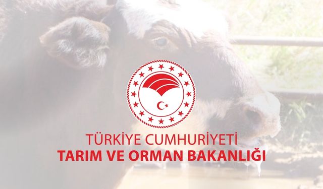 Tarım ve Orman Bakanlığı, şap hastalığının kontrol altına aldığını açıkladı