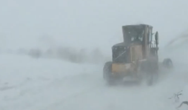 Artvin Ardanuç’ta Çığ: Ekipler bölgeye sevk edildi