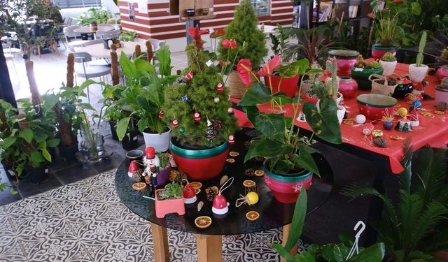 Yeni yılın renkleri ABB bitki evlerinde vatandaşla buluşuyor