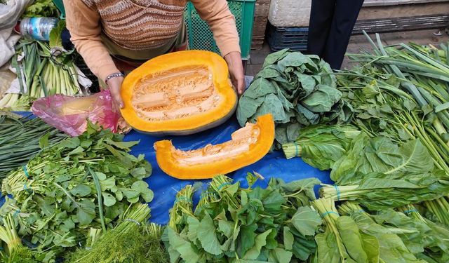 Aydın’da bal kabağı sezonu açıldı