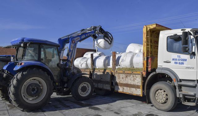 ABB, mısır silajı desteği ile üreticilerin yanında olmaya devam ediyor