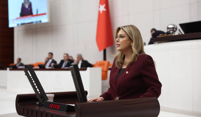 Elvan Işık Gezmiş; Bu bütçe halkın bütçesi değil