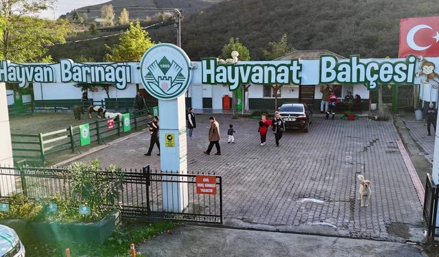 Giresun Belediyesi hayvan barınağı örnek çalışmaları