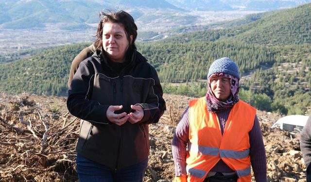 Ağlasun’da endüstriyel ağaçlandırma ile yeşil vatan güçleniyor