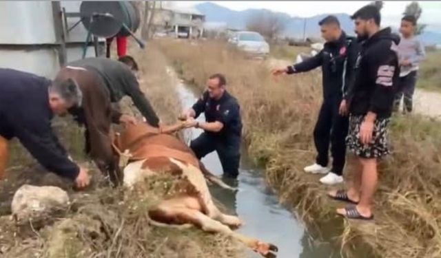 Serik’te itfaiyeden hayat kurtaran müdahale