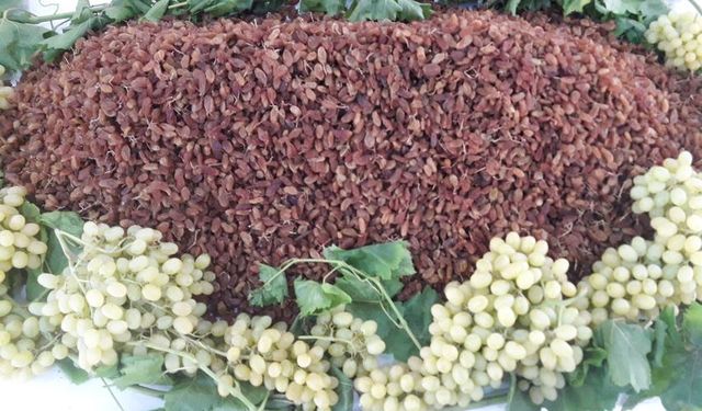 Dünya kuru üzüm piyasasında dengeler değişiyor