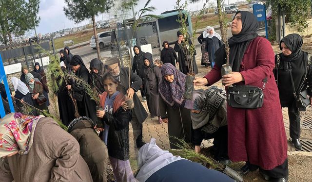 Batman'a ücretsiz fidan dağıtımı