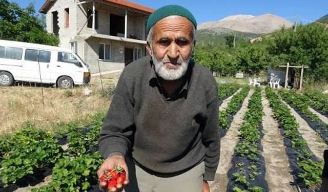 Isparta'da Hayır bahçesi yetim kaldı