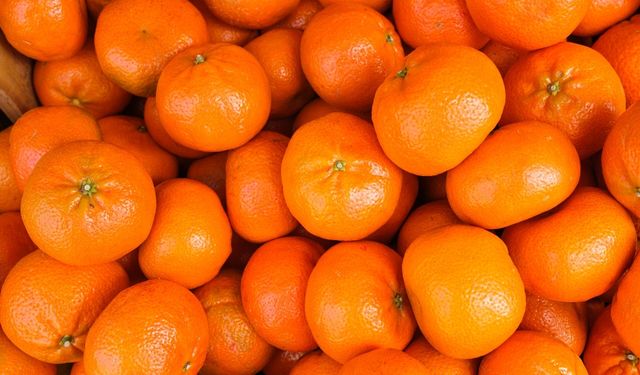 Mandalinada tüm zamanların ihracat rekoru kırıldı