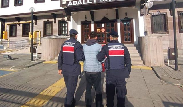 Jandarma dolandırıcılara göz açtırmıyor