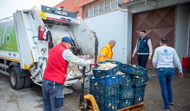 Seyhan Belediyesi zabıtası, insan sağlığına yönelik tehditlere göz yummuyor