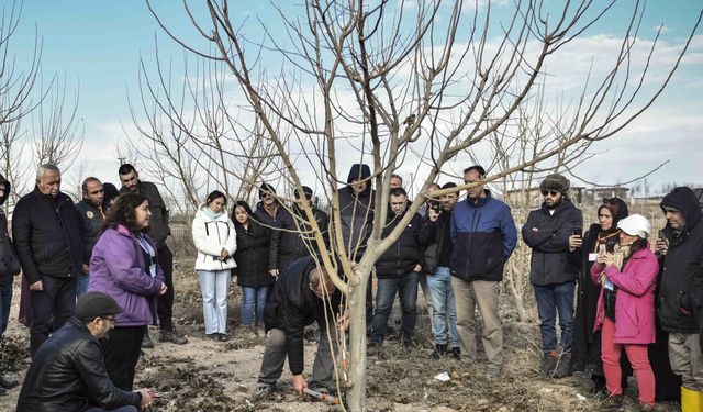 ABB'den meyve ağaçlarının gelişimine destek
