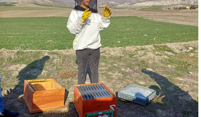 Halk Eğitim Merkezi Müdürlüğünden uygulamalı arıcılık kursu