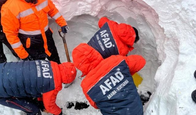 Artvin’de çığda kaybolan çoban 4 gündür aranıyor