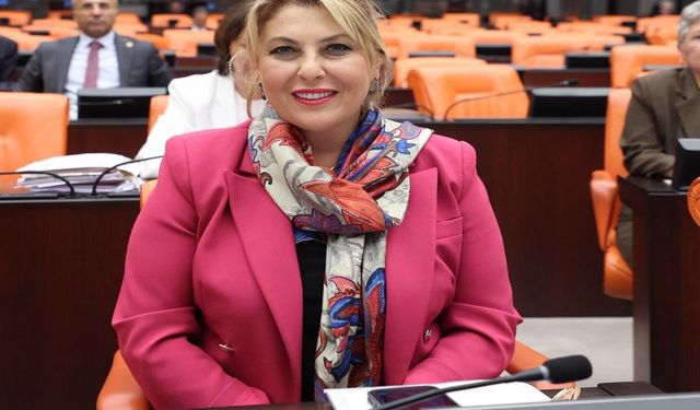 Elvan Işık Gezmiş; Emekli maaşı lütuf değil