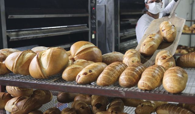 Halk ekmek 5 yeni ekşi mayalı ekmek daha üretti