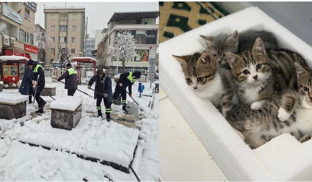 Belediye emekçileri yoğun kar yağışına karşı seferber oldu