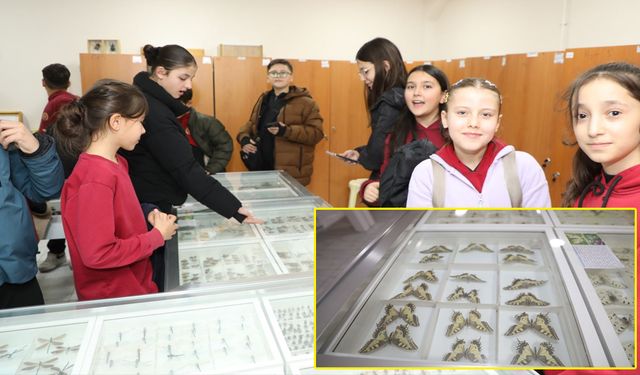 ISUBÜ Ziraat Fakültesi Böcek müzesinde 30 bin böcek örneği sergileniyor