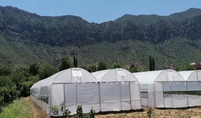 Seralarda yıkım hasat sonrasına ertelendi