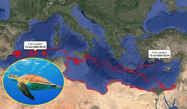 Caretta Gümüş 24 Bin Km Yol Kat etti