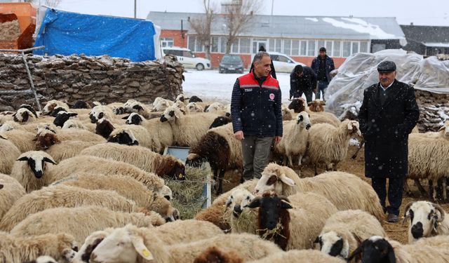 Arpaçay, Akçalar Köyü’nde yeni yılın ilk doğumları başladı