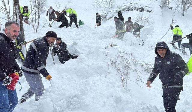 Van’ın Çatak ilçesinde iki mahalleye çığ düştü: Bir kadın çığ altında kaldı