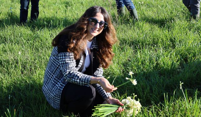 Kaymakam Kızılkaya, üreticilerle nergis hasadına katıldı