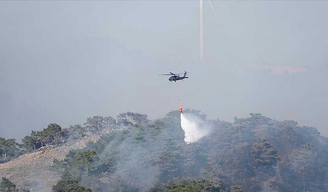 İzmir ve Bolu'da 3 noktada yangınlar kontrol altına alındı