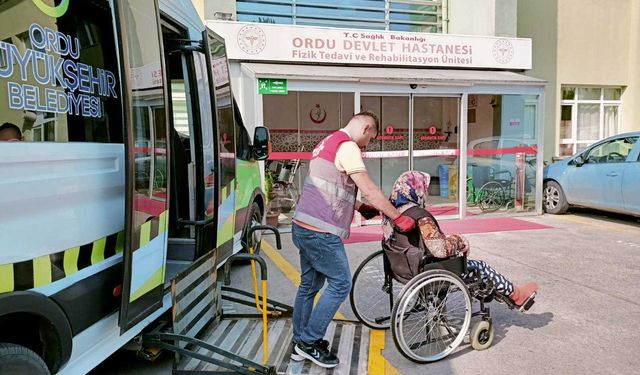 Ordu'nun Çınarları Büyükşehir'e emanet