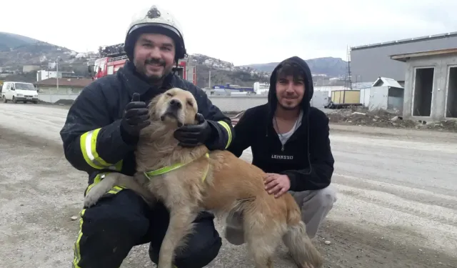 Tokat'ta yangından kurtarılan köpek minnetini böyle gösterdi